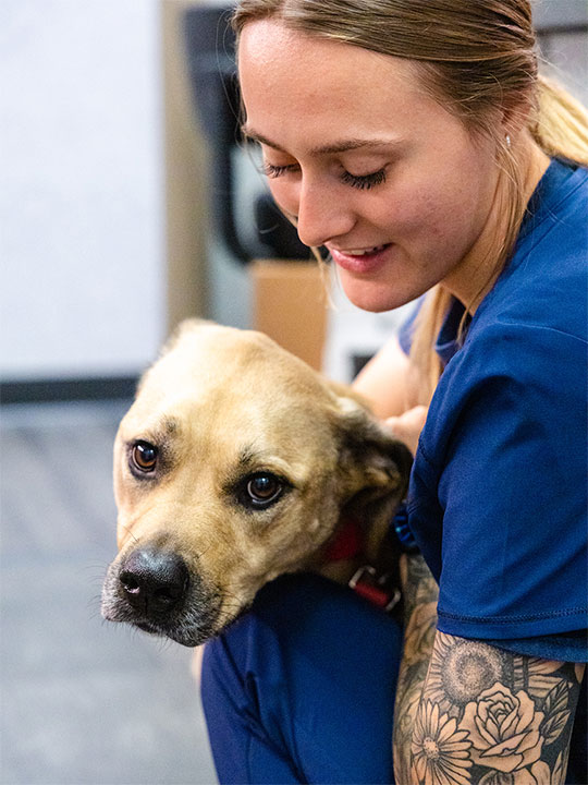 Isabel Vet Tech with Dog patient at Upleash Veterinary Hospital