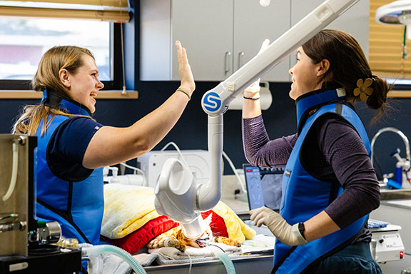 Sioux Falls Veterinary Care team